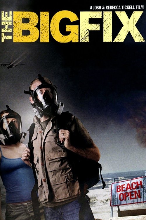 The Big Fix movie poster