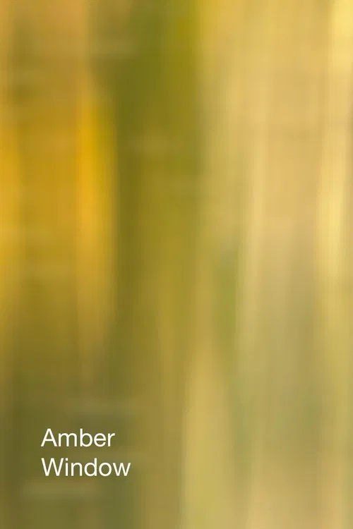 Amber Window movie poster