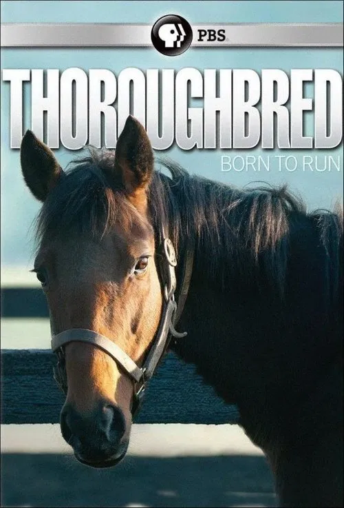 Thoroughbred: Born to Run movie poster