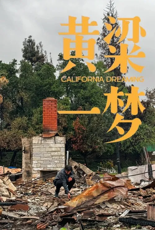 美洲大宝荐：黄粱一梦 movie poster