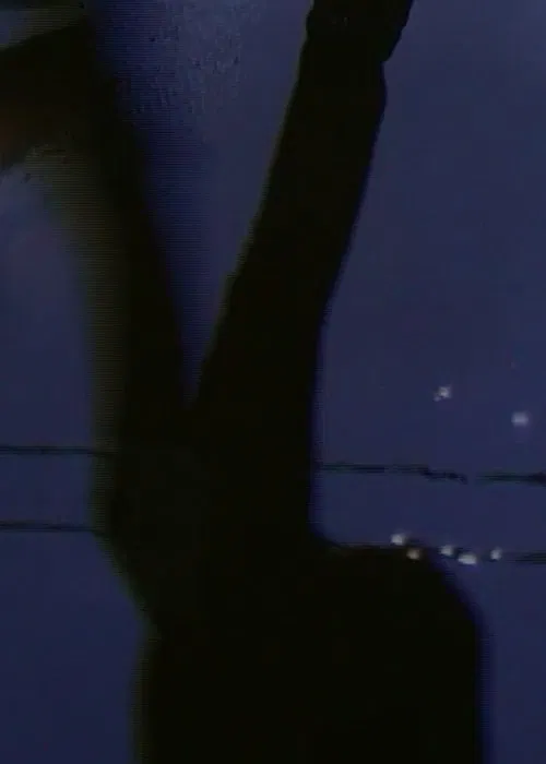 Poster do filme [W I N G S O F L O V E]