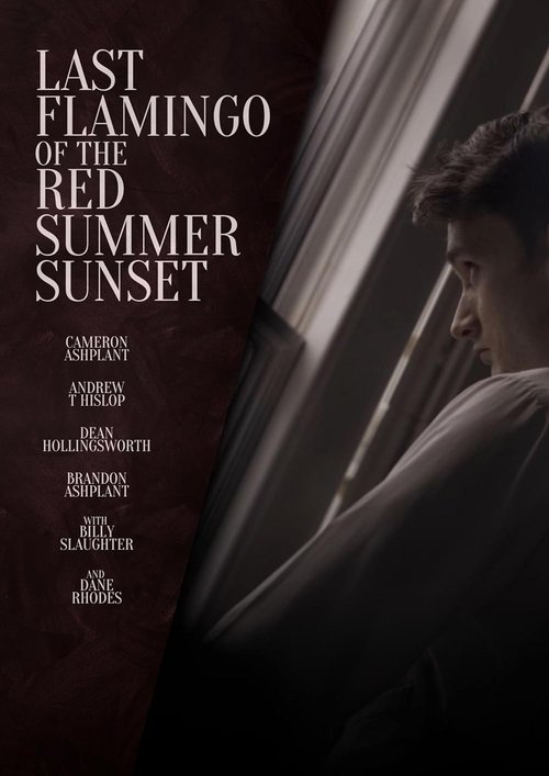 Last Flamingo of the Red Summer Sunset movie poster