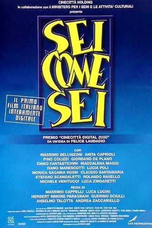 Sei come sei movie poster