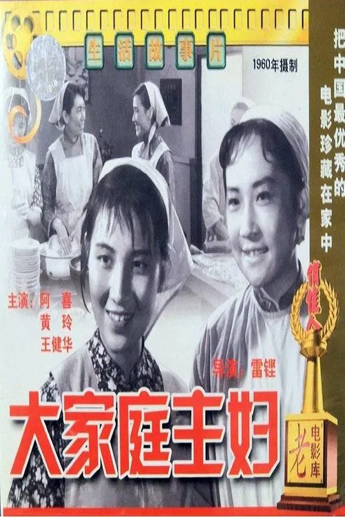 大家庭主妇 movie poster