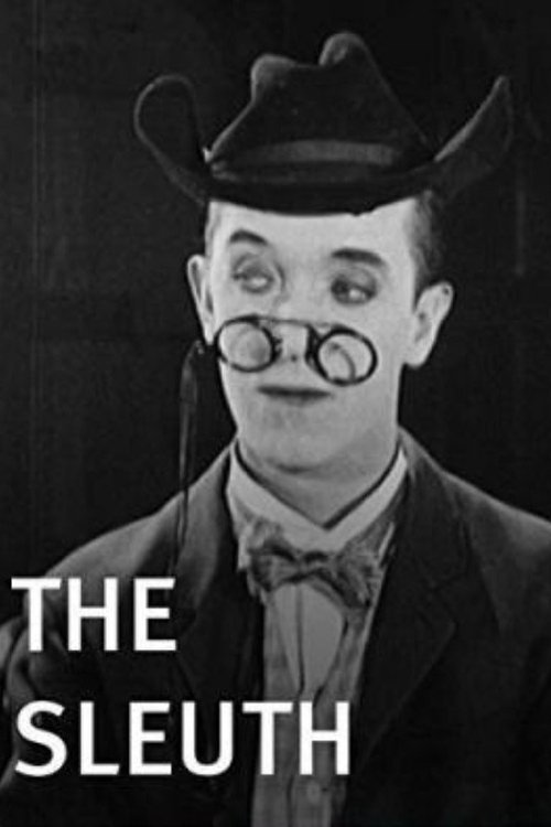 The Sleuth movie poster