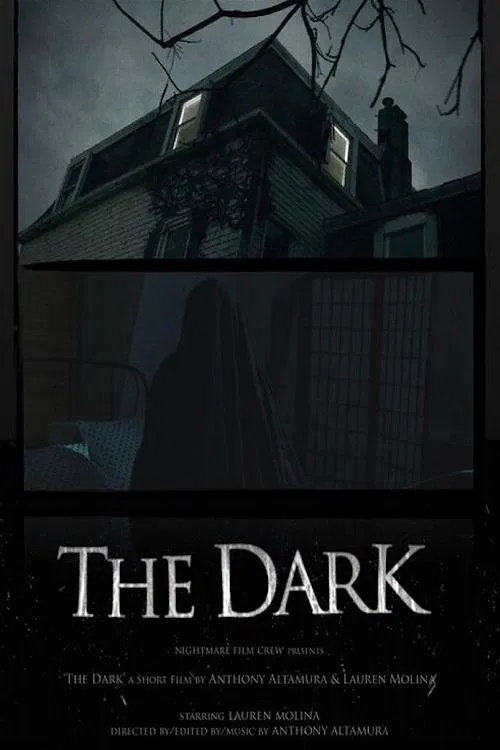 Poster do filme The Dark