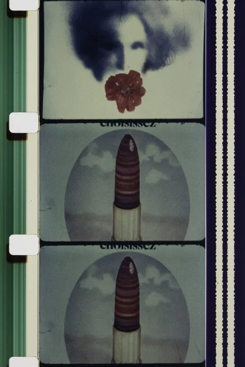 C'est Fou ! movie poster