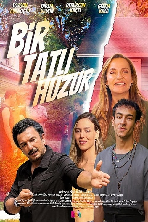 Bir Tatlı Huzur movie poster