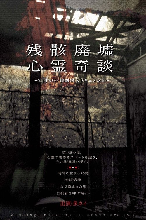 Poster do filme Remnants: Ruins of Spirit Tales - Unreleased Footage & Infiltration Document