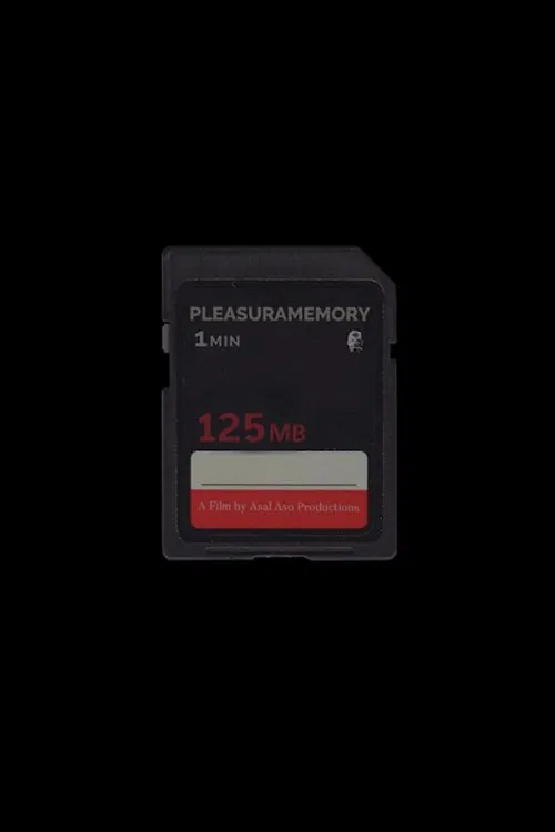 Pleasuramemory movie poster