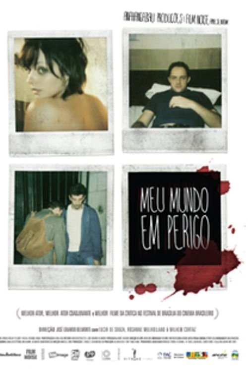 Poster do filme Meu Mundo em Perigo