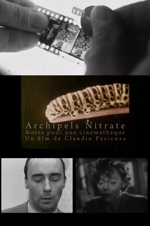 Archipels nitrate movie poster