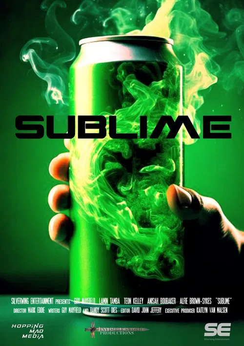 Sublime movie poster