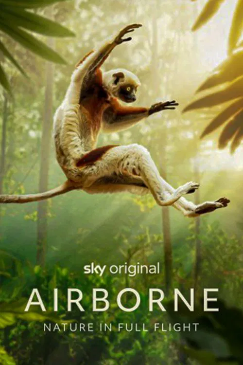 Airborne tv show poster