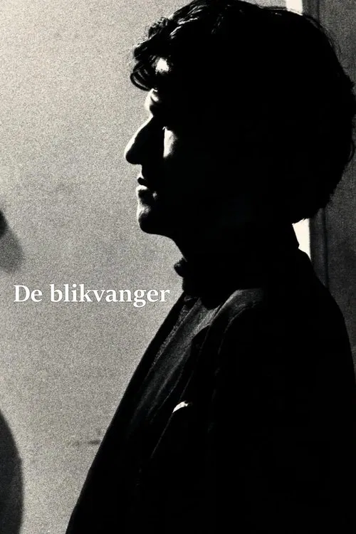 De blikvanger movie poster