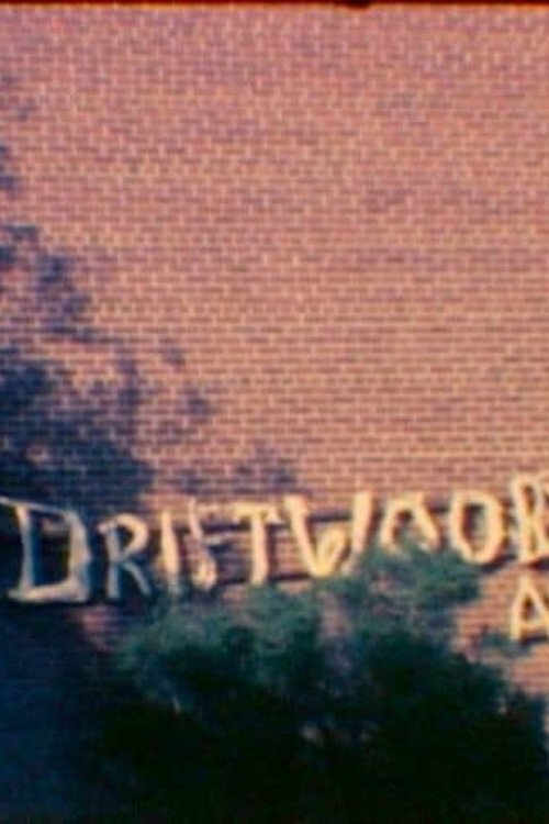 I Dream of Driftwood movie poster