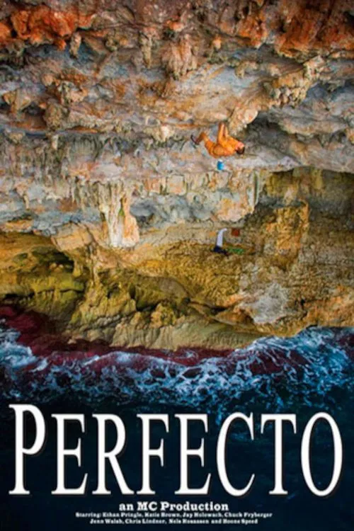 Poster do filme Perfecto