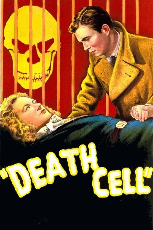 Poster do filme The Patient Vanishes