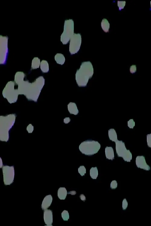 i see stars movie poster