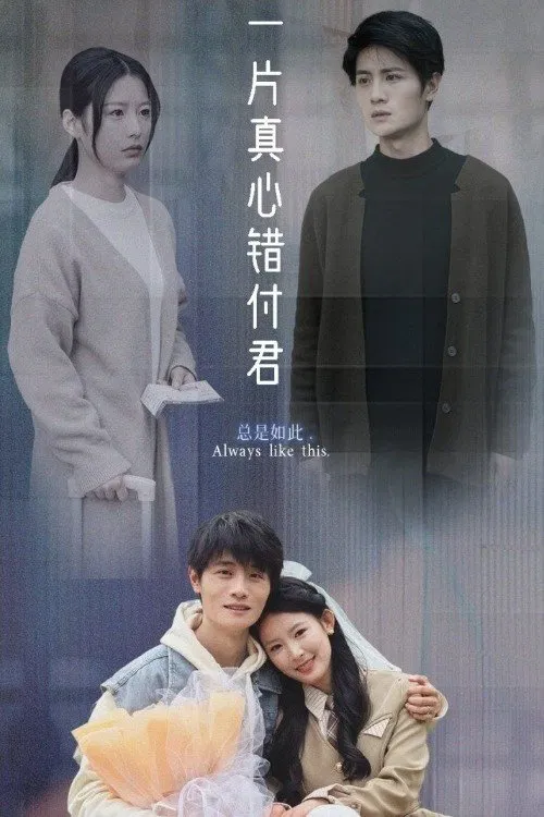 一片真心错付君 tv show poster