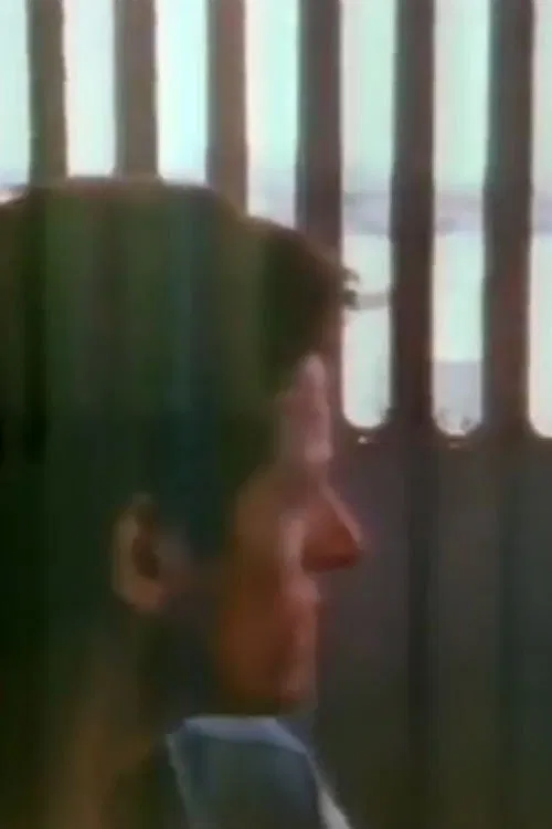 The Blue Nile: Flags and Fences movie poster