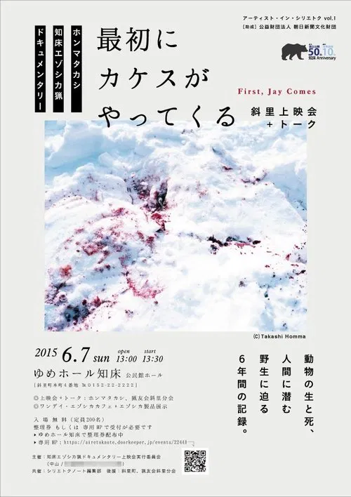 First, Jay Comes movie poster