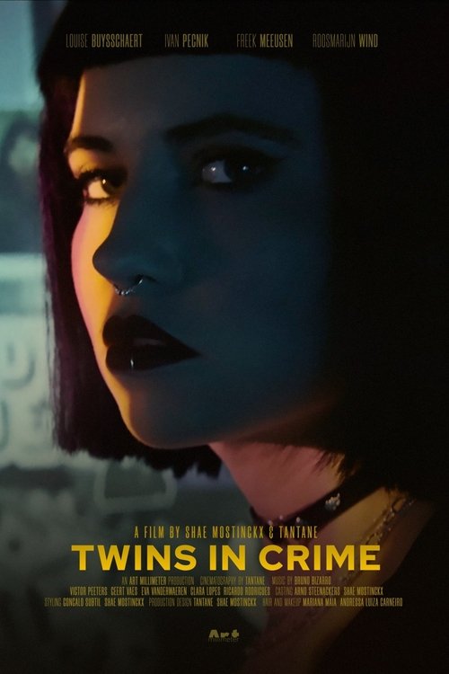 Twins in Crime movie poster