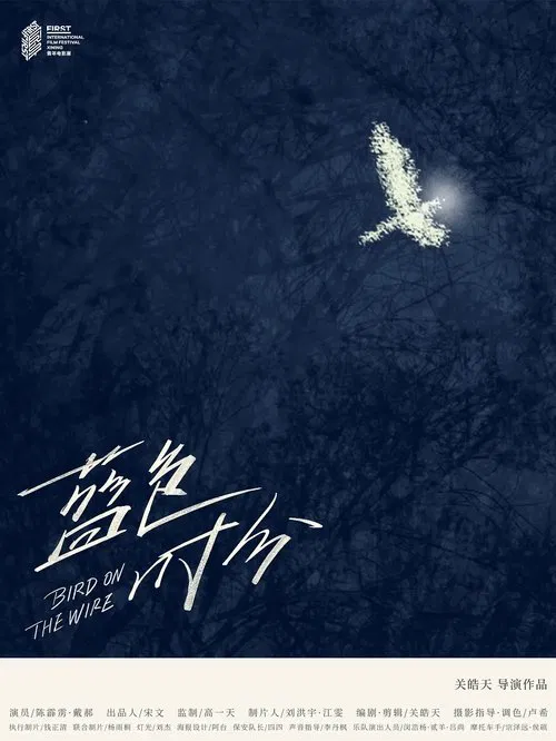 Bird on the Wire movie poster