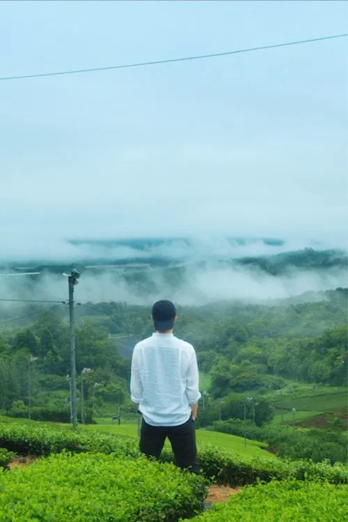 Wadachi movie poster