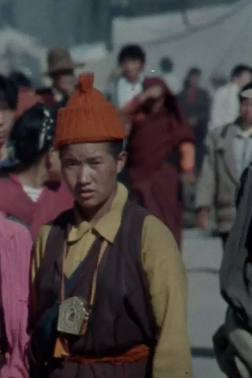 Poster do filme Tibet Revisited