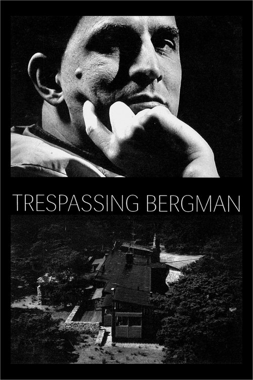 Trespassing Bergman movie poster