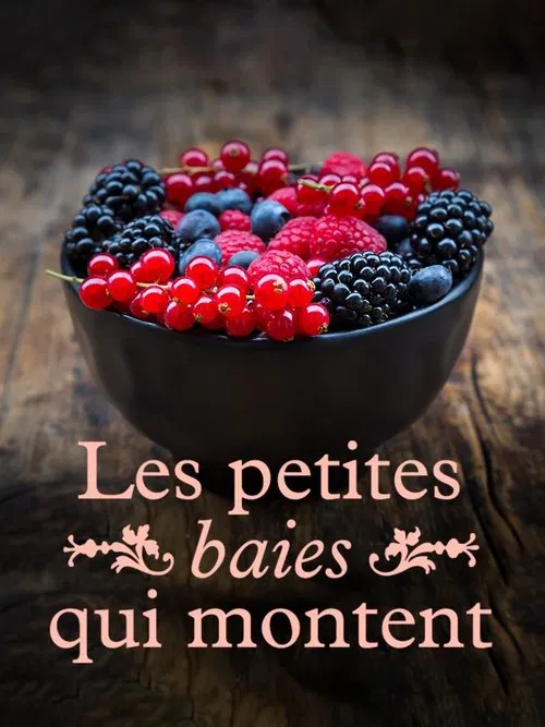Poster do filme Les petites baies qui montent