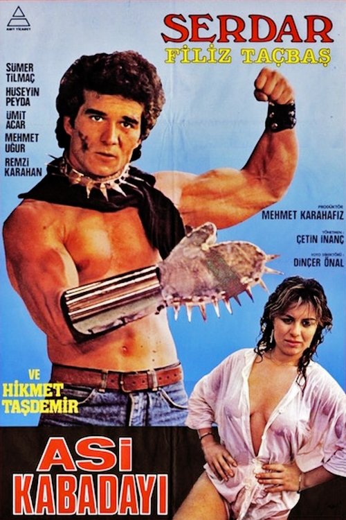 Asi Kabadayı movie poster