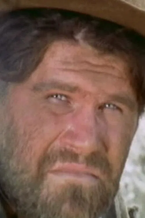 Vittorio Fanfoni profile picture
