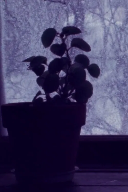 In my Hometown I-III movie poster