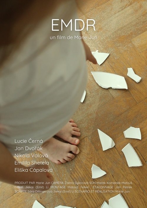 Poster do filme EMDR
