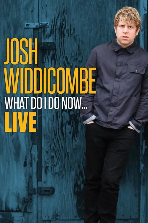 Josh Widdicombe: What Do I Do Now... movie poster