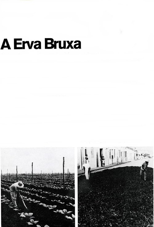 A Erva Bruxa movie poster