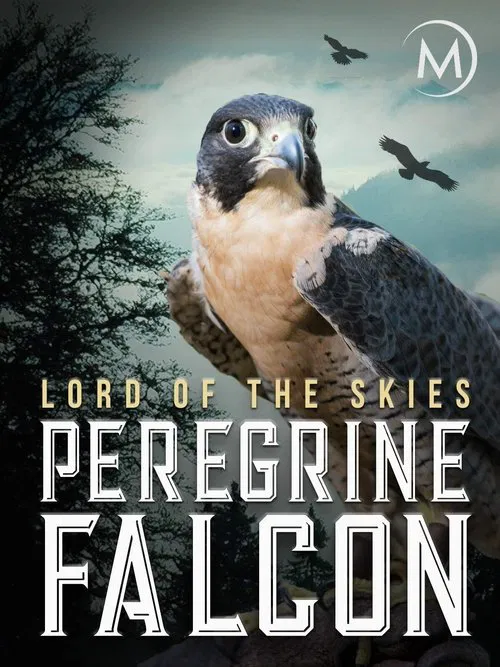 Peregrine Falcon: Lord of the Skies movie poster
