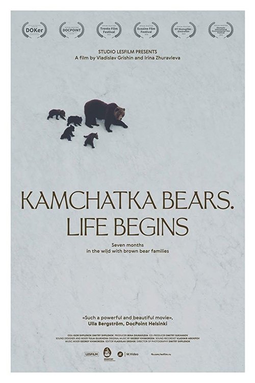 Kamchatka Bears. Life Begins movie poster