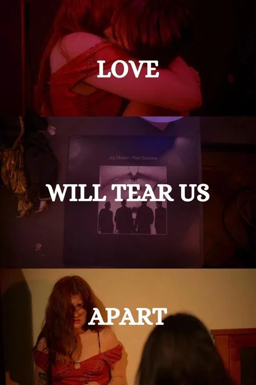 Poster do filme Love Will Tear Us Apart