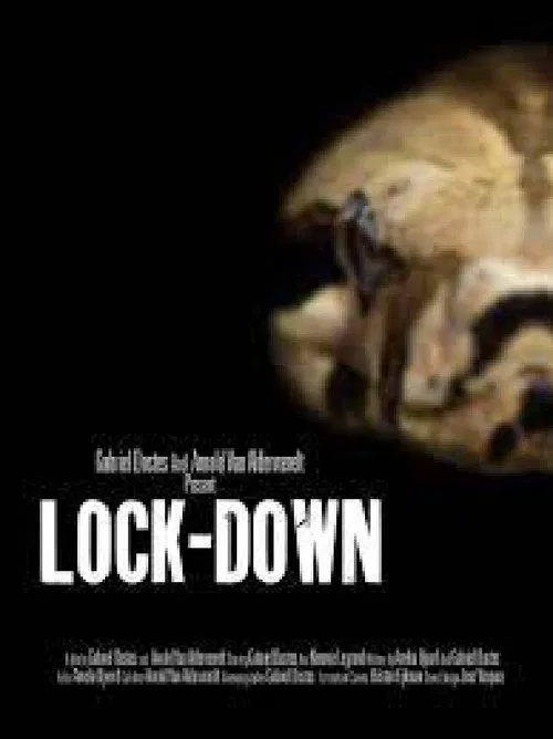 Poster do filme Lock-Down