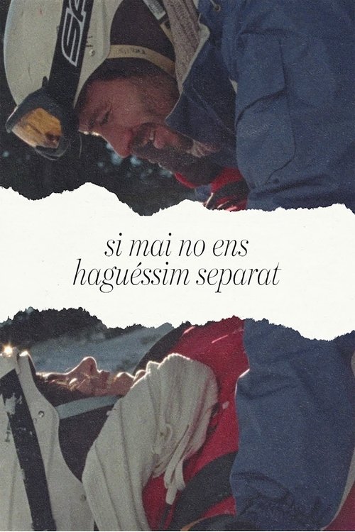 Si mai no ens haguéssim separat movie poster