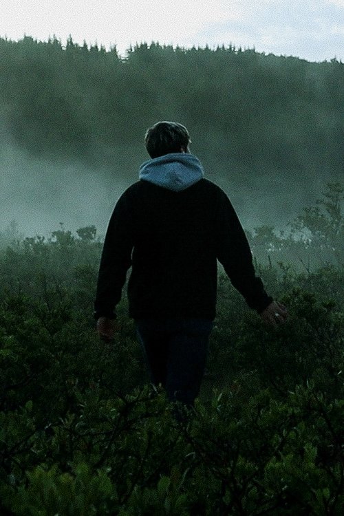 Sumarsólstöður movie poster