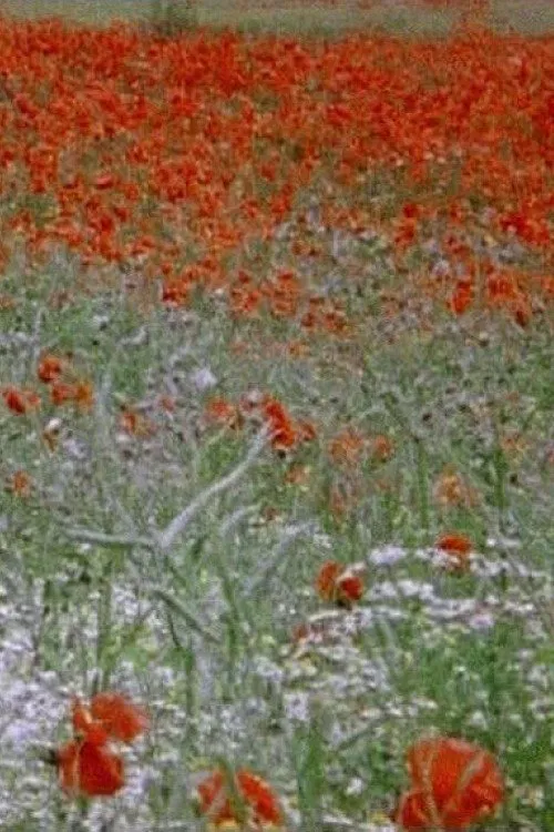 Hic Rosa, Botanical Score movie poster