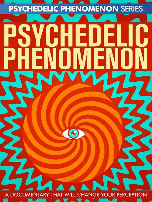 Psychedelic Experiences movie poster