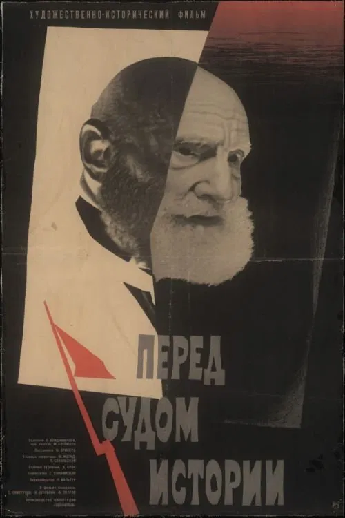 Poster do filme Facing the Judgement of History