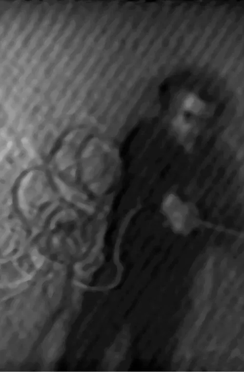 Dynamic Field Series movie poster