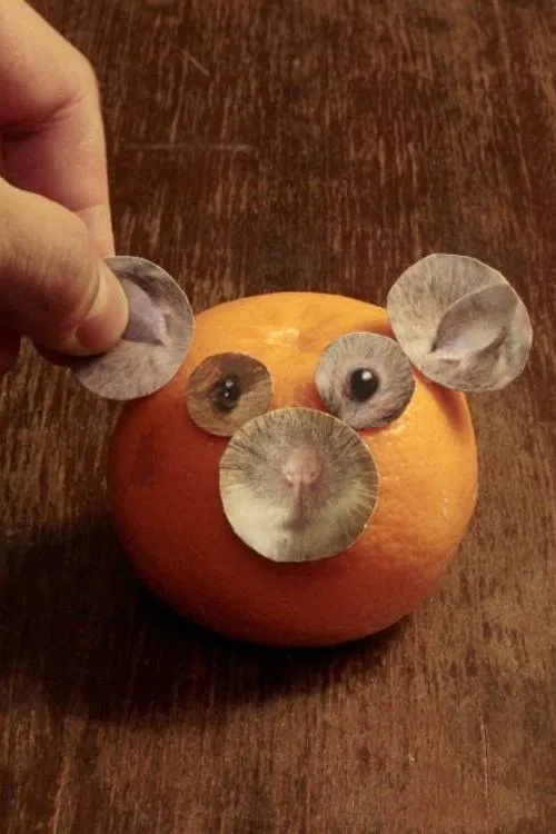 Poster do filme Set for Creating a Mouse