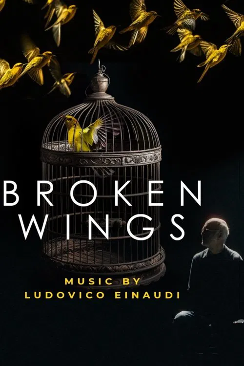 Poster do filme Broken Wings
